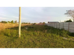 property 0edf233a dffd 4028 ba13 10812d1c64f4 1