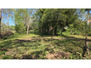 property 400319d9 4893 4a7d ac96 2ab5bf8ff3c4 2
