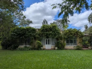 property 69ff25a8 3181 4bdd acd2 8811a9ecdbfa 1