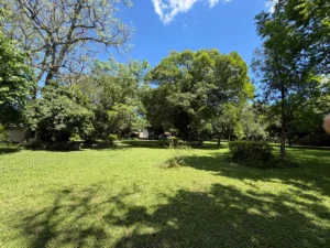 property 69ff25a8 3181 4bdd acd2 8811a9ecdbfa 4