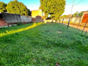 property 7c1fc3b2 a51a 4a18 b59b c9c6a7d02605 6