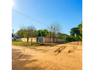 property b1a71991 1844 483b 9505 b991daf28ed3 3