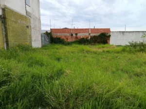 property c1a2ea10 907f 46a3 b271 e167b686a54d 3