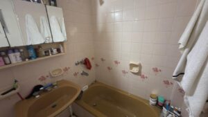 property c38ab9cc e16e 44b3 9903 900b83279875 6