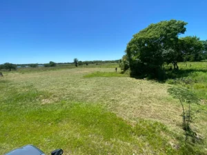 property c3df4d28 ab42 467f ad84 b23cb88e5cec 1