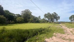 property c49633a6 0ba2 4eee 945e 22f6917de0da 1768397371125 3
