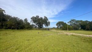 property c49633a6 0ba2 4eee 945e 22f6917de0da 1768397376969 5