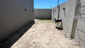 property d9e1a51b db9f 4888 ad4d 2f322ae358c2 2